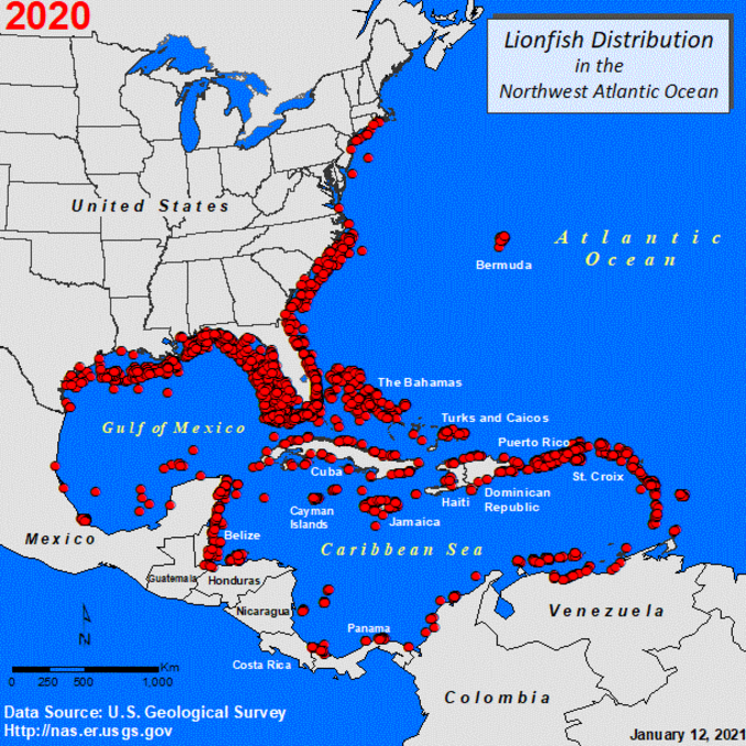Presença do peixe-leão nos EUA, no Caribe, na Colômbia e na Venezuela em 2020