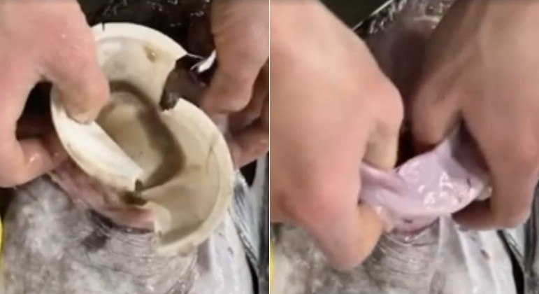 Copo plástico foi retirado do estômago de um peixe, em mercado da cidade chinesa de Yantai