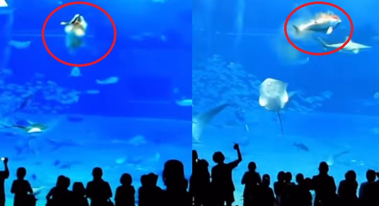 Os flashes foram disparados por várias câmeras
