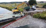 'Provavelmente despejaram quantidades grandes de resíduos químicos no rio, com plena consciência do risco e das consequências', disse o primeiro-ministro polonês, Mateusz Morawiecki, na semana passada