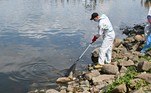 A mesma fonte confirmou a retirada do rio de cerca de 100 toneladas de peixes mortos desde segunda-feira (15)