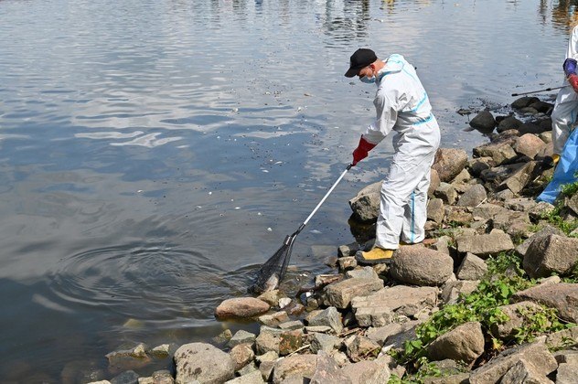 A mesma fonte confirmou a retirada do rio de cerca de 100 toneladas de peixes mortos desde segunda-feira (15)