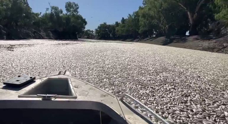 Barco tenta navegar pelo rio bloqueado por milhões de peixes mortos