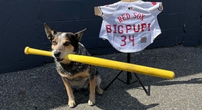Pepper ganhou o apelido de Big Pupi entre os seus fãs