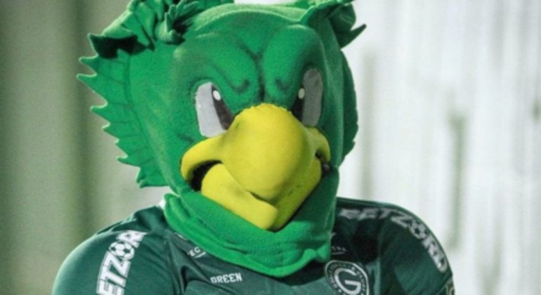 9. Goiás - Periquito Há muitas versões sobre o surgimento da mascote do esmeraldino. A mais aceita é que ele é inspirado nas cores do clube. Outros dizem que foi influenciado pelo do Palmeiras, que era o time do coração de dois fundadores do Goiás, Lino e Carlos Barsi. Há também quem diga que um torcedor chamado Raimundo Baiano sempre gritava 