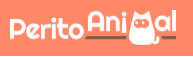 Perito Animal