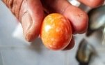 Um pescador da Tailândia descobriu uma raríssima pérola laranja em uma praia, enquanto recolhia conchas. O valor dela pode chegar a incríveis R$ 1,850 milhão (US$ 340.000)