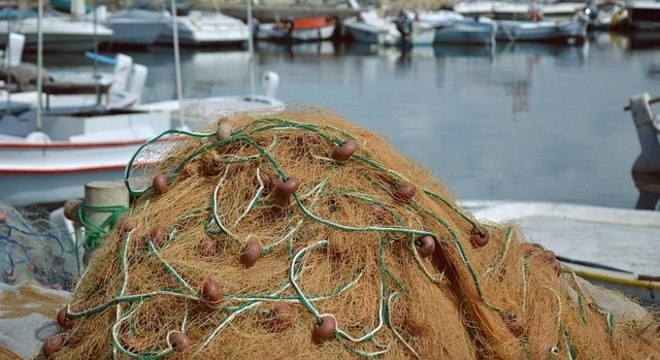 Redes de pesca abandonadas no oceano ameaçam várias espécies da vida marinha