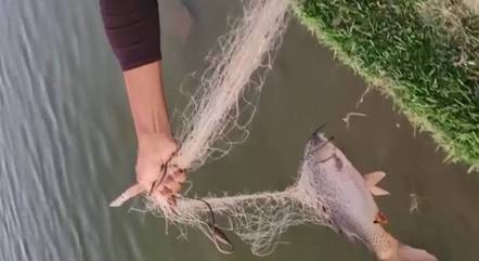 Uso de redes para pesca é proibido na lagoa 
