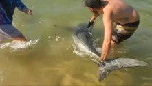 Pescadores pegam tubarão-branco nos braços após captura acidental
