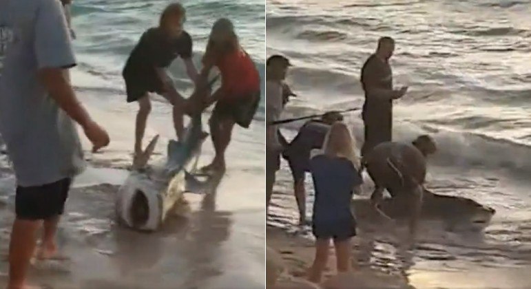 Pescador fisgou tubarão de 300 kg sem querer, em praia de Perth, na Austrália