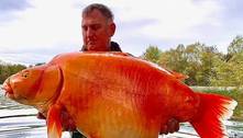 Pescador demora 25 minutos para pegar peixe-dourado de 30 kg