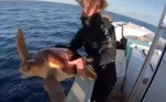 Foi aí que os homens da embarcação decidiram retirar a tartaruga da água até que o perigo passasse