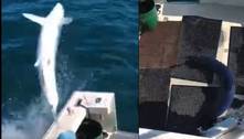 TikTok: pescadores correm em desespero após tubarão veloz pular dentro de barco