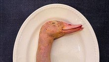 Restaurante causa polêmica com foto de pescoço de pato recheado
