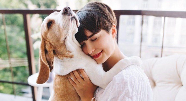 Animais ajudam humanos até a conhecer novas pessoas 