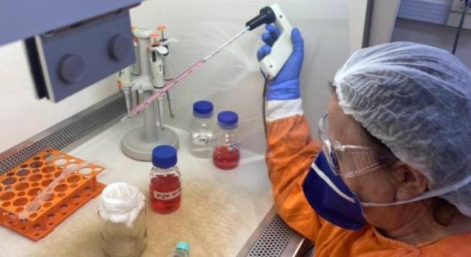 Plasma de 60 voluntários foram analisados pelo Instituto de Medicina Tropical - USP