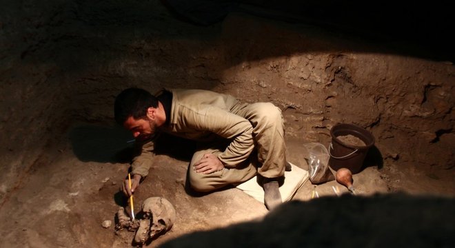 Parte dos fósseis estudados pelos pesquisadores foram encontrados no Brasil