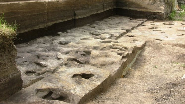 Pesquisadores da Universidade de Tubingen, na Alemanha, encontraram pegadas humanas e animais de aproximadamente 300 mil anos. A descoberta foi realizada no complexo de sítios paleolíticos, localizado na Baixa Saxônia.