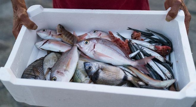 Em breve, os compradores poderão aprender a 'história' dos peixes que vão comer