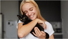 Tutores de gatos têm menor risco de morrer por ataques cardíacos, dizem pesquisas