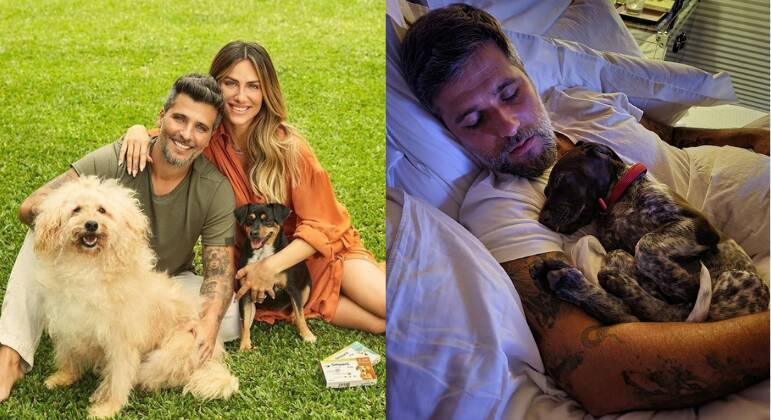 pet com famosos