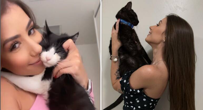 Vídeo: Gato surpreende tutora gringa ao falar em português: 'é brasileiro