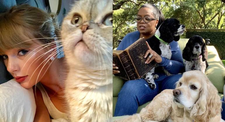 Taylor Swift e Oprah são donas de pets ricos
