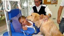 Pet terapia coloca cães junto a crianças, adultos e idosos em tratamento médico