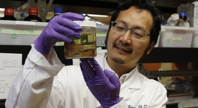 Peter Yang, um dos autores do estudo, exibe amostras de chifres de cervos 