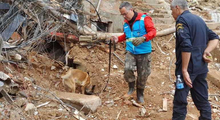 Cães farejadores ajudam na busca por vítimas dos deslizamentos