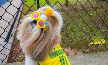 Conheça os pets influenciadores mais estilosos na Copa do Mundo (Reprodução/Instagram @dois.aumores)