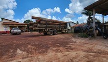 PF apreende caminhão com madeira ilegal e espingarda em retirada de não indígenas no Pará 