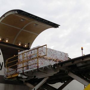 Primeiro voo trazendo 1.076.400 de doses da Pfizer chegou nesta manhã