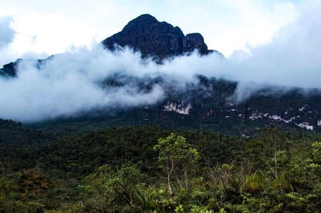 Pico da Neblina é um tepui, uma das formações mais antigas da Terra