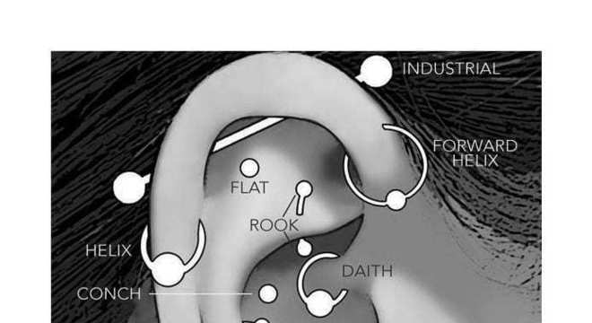 Piercing na orelha, curiosidades + 51 imagens de inspiração