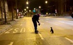 Um pinguim viveu uma noite de grandes aventuras em Budapeste, capital da Hungria, após escapar do zoológico local. O animal andou por diversas ruas da cidade antes de ser capturado por policiais