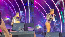 Fã joga as cinzas da mãe em palco da cantora Pink 