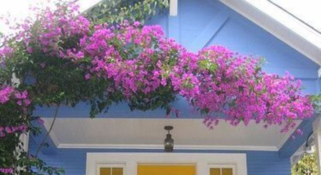 Pinturas de casas azul e amarelo