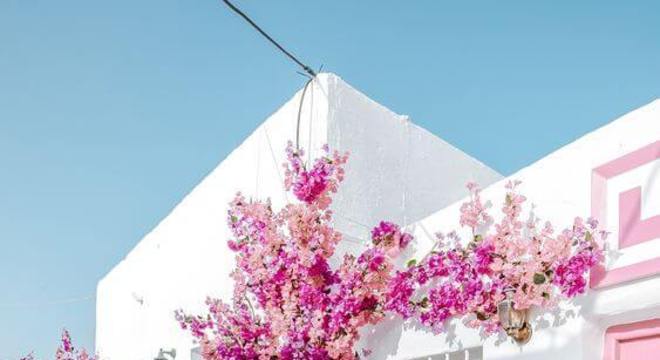 Pinturas de casas branca com flores cerejeiras