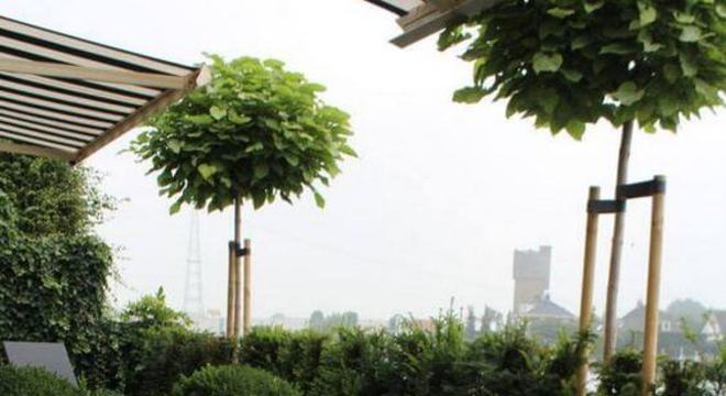 piso antiderrapante para quintal