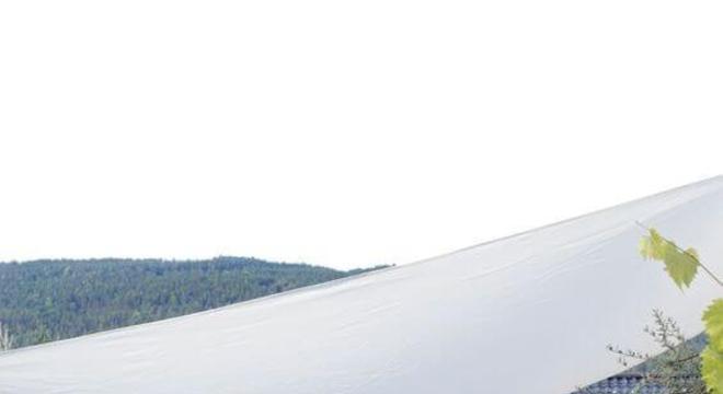 piso para quintal com madeira