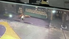 Pit bulls fogem de casa e matam cachorro em Santo André (SP)