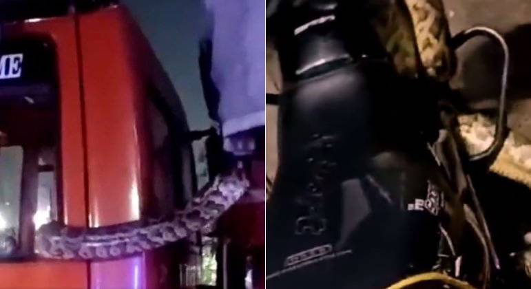 Píton desenrolado de caminhão também se agarrou a moto, na Índia