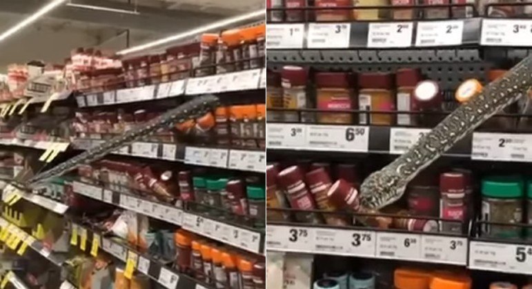 Uma píton foi flagrada sobre a prateleira de um supermercado de Sidney, na Austrália