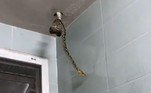 Segundo o tabloide britânico The Sun, a serpente de grande porte foi encontrada por Nop Powin, funcionário do estabelecimento