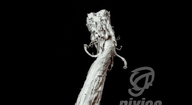 Pixies anuncia “Beneath the Eyrie”, seu sétimo disco; ouça canção inédita