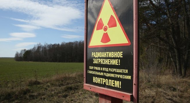 As plantas podem se adaptar após um desastre nuclear, mas seres humanos nunca devem colher ou comer frutas e cogumelos de áreas contaminadas por radiação