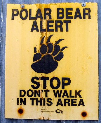 Placas alertando da possibilidade de deparar com um urso estão espalhados pelos espaços públicos, assim como locais onde agentes podem reter ursos para envio a cativeiros.