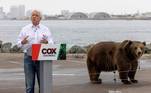 Em San Diego, Califórnia, o candidato a governador John Cox resolve que é uma boa ideia mostrar um urso ao fundo